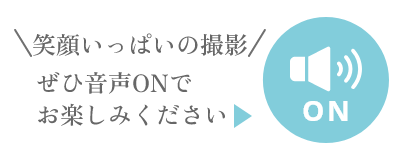 音声ON・OFFボタン