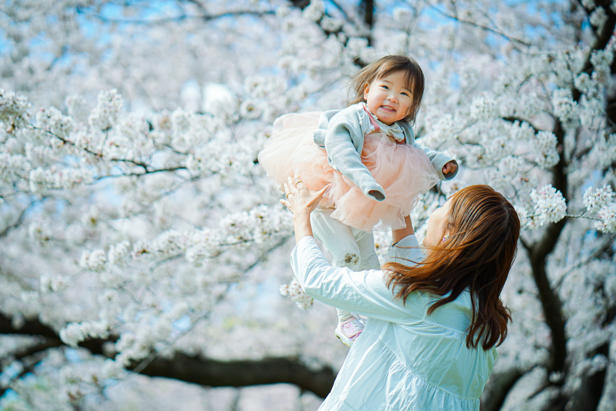 桜撮影会