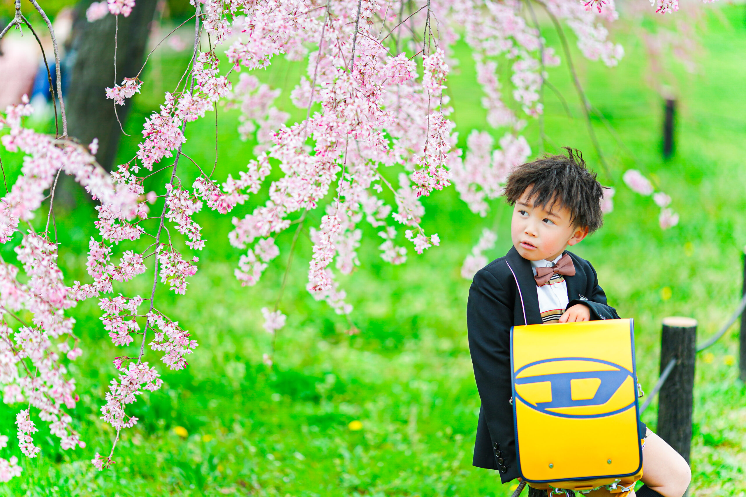 桜撮影会