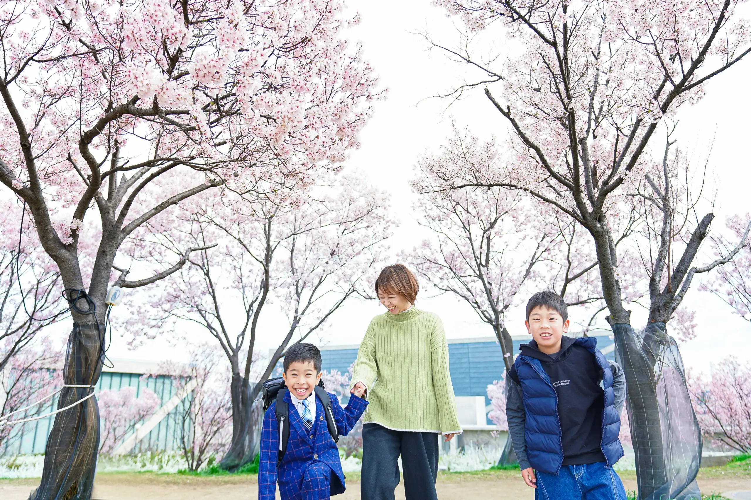 ロケーション撮影に特化した堺市にある写真館FYS Photographyで桜を背景に入園入学の写真撮影