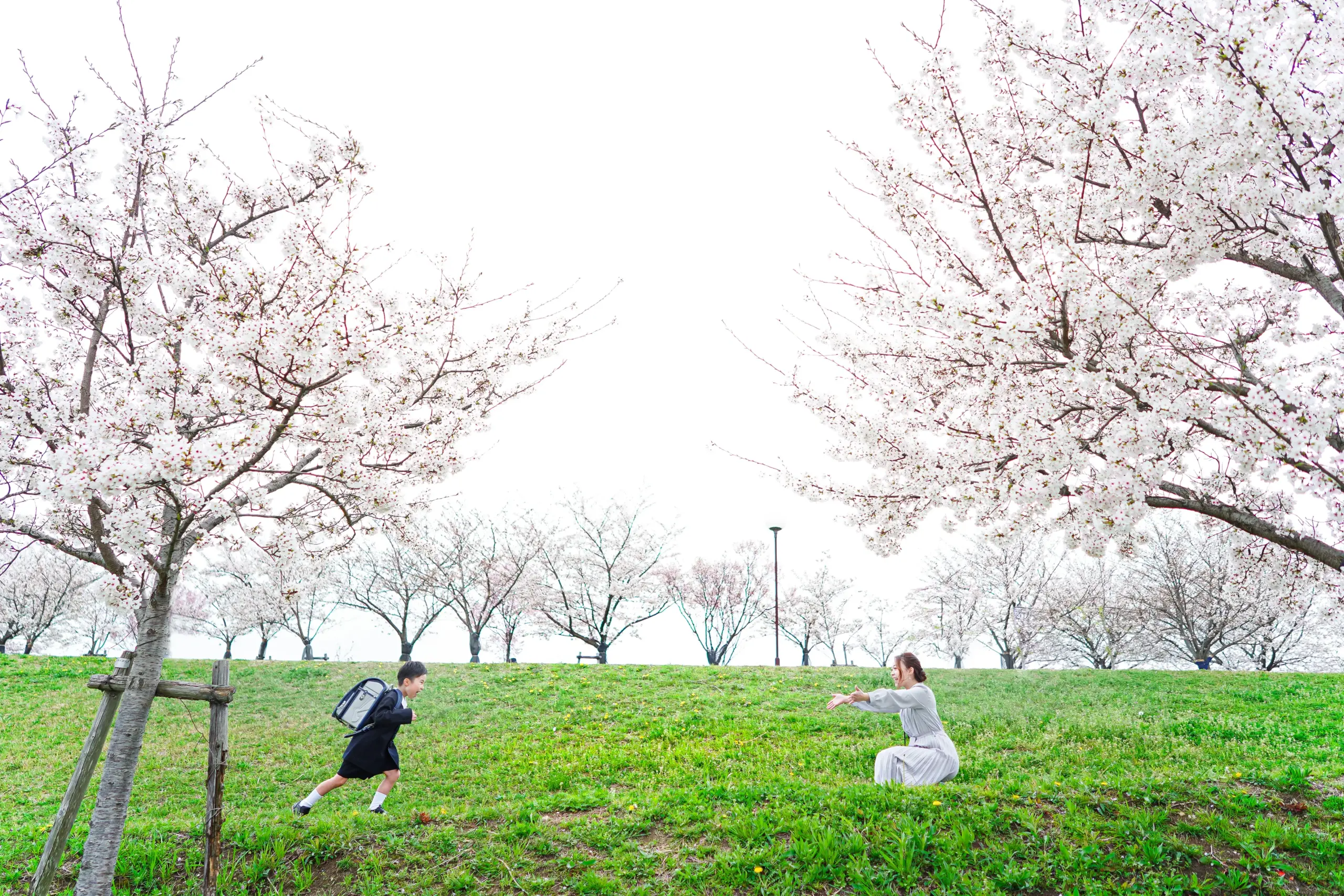 堺市にあるロケーション撮影に特化した写真館FYS Photographyで桜を背景に入学の写真撮影