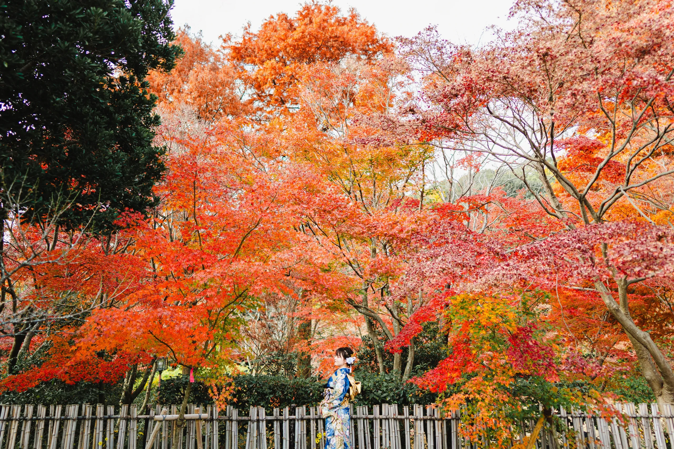大阪府堺市にあるロケーション撮影に特化したフォトスタジオ、FYS Photographyの成人式写真撮影