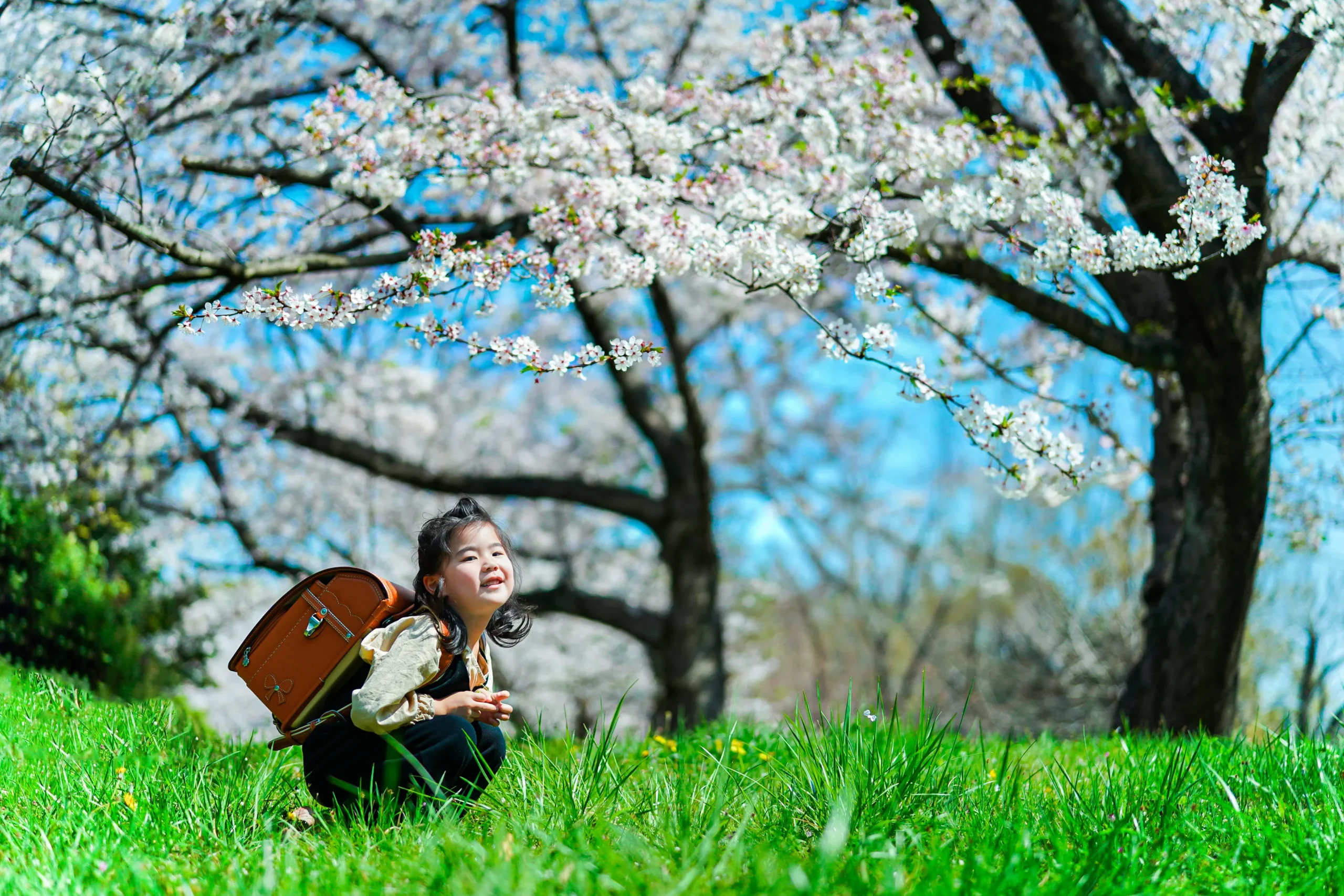 ロケーション撮影に特化した堺市にある写真館FYS Photographyで桜を背景に入園入学の写真撮影