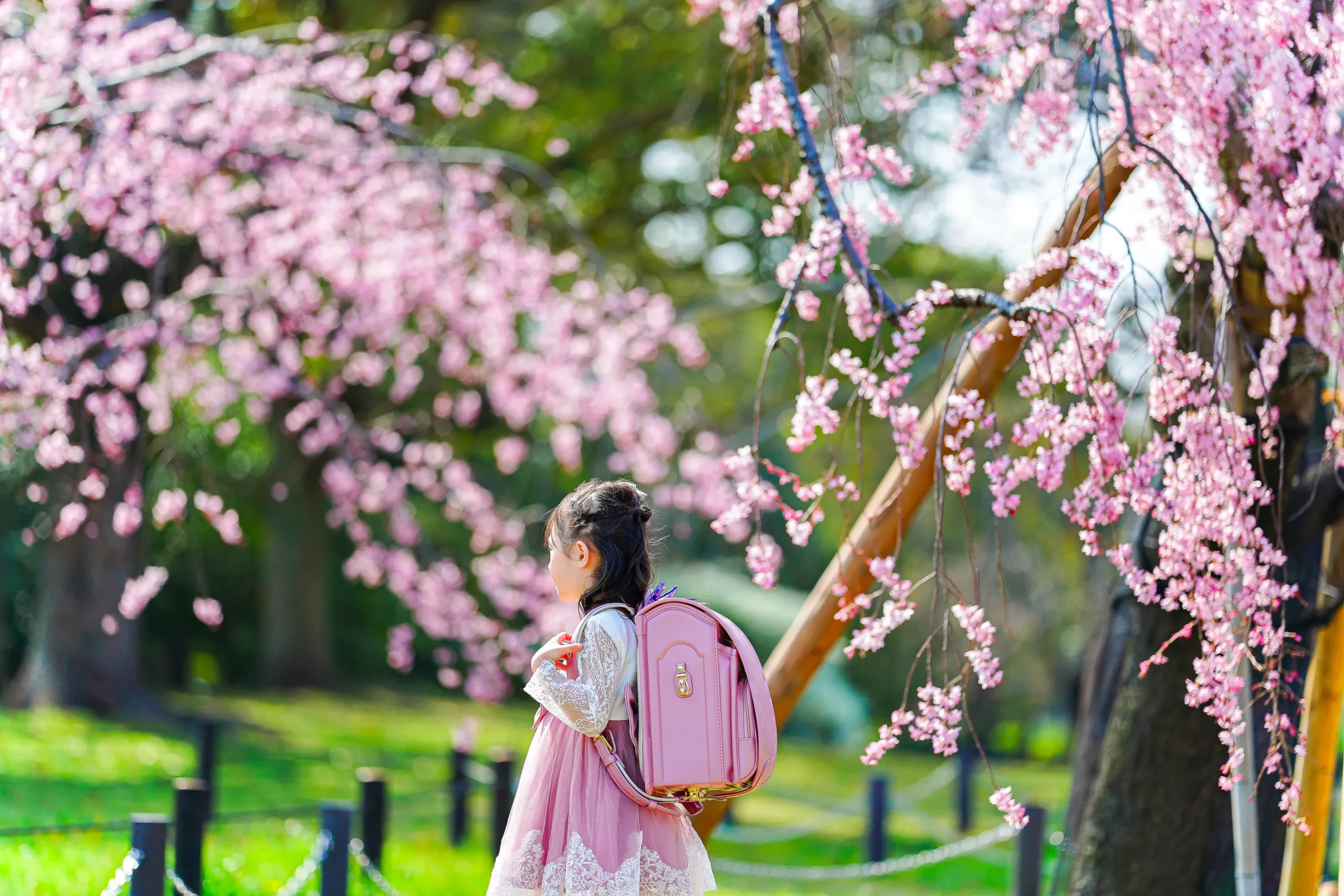 ロケーション撮影に特化した堺市にある写真館FYS Photographyで桜を背景に入園入学の写真撮影
