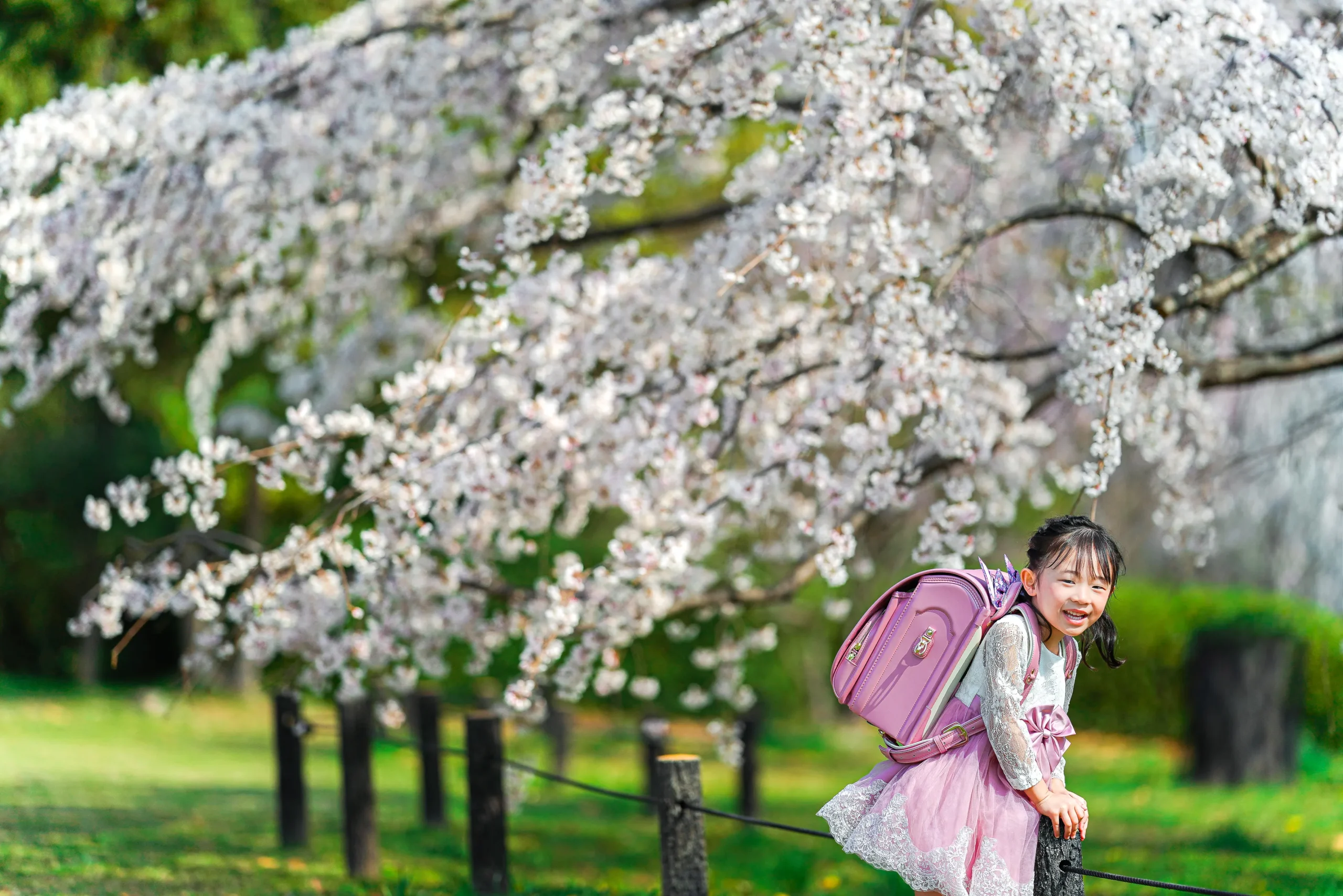 ロケーション撮影に特化した堺市にある写真館FYS Photographyで桜を背景に入学の写真撮影