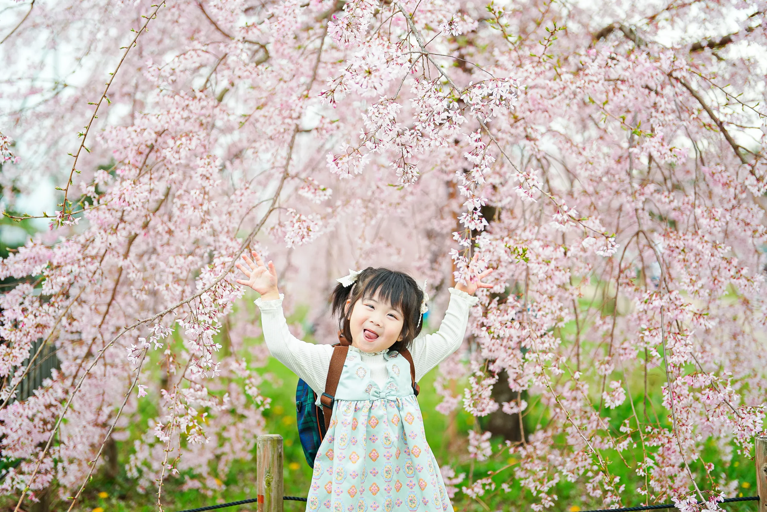 ロケーション撮影に特化した堺市にある写真館FYS Photographyで桜を背景に入園の写真撮影