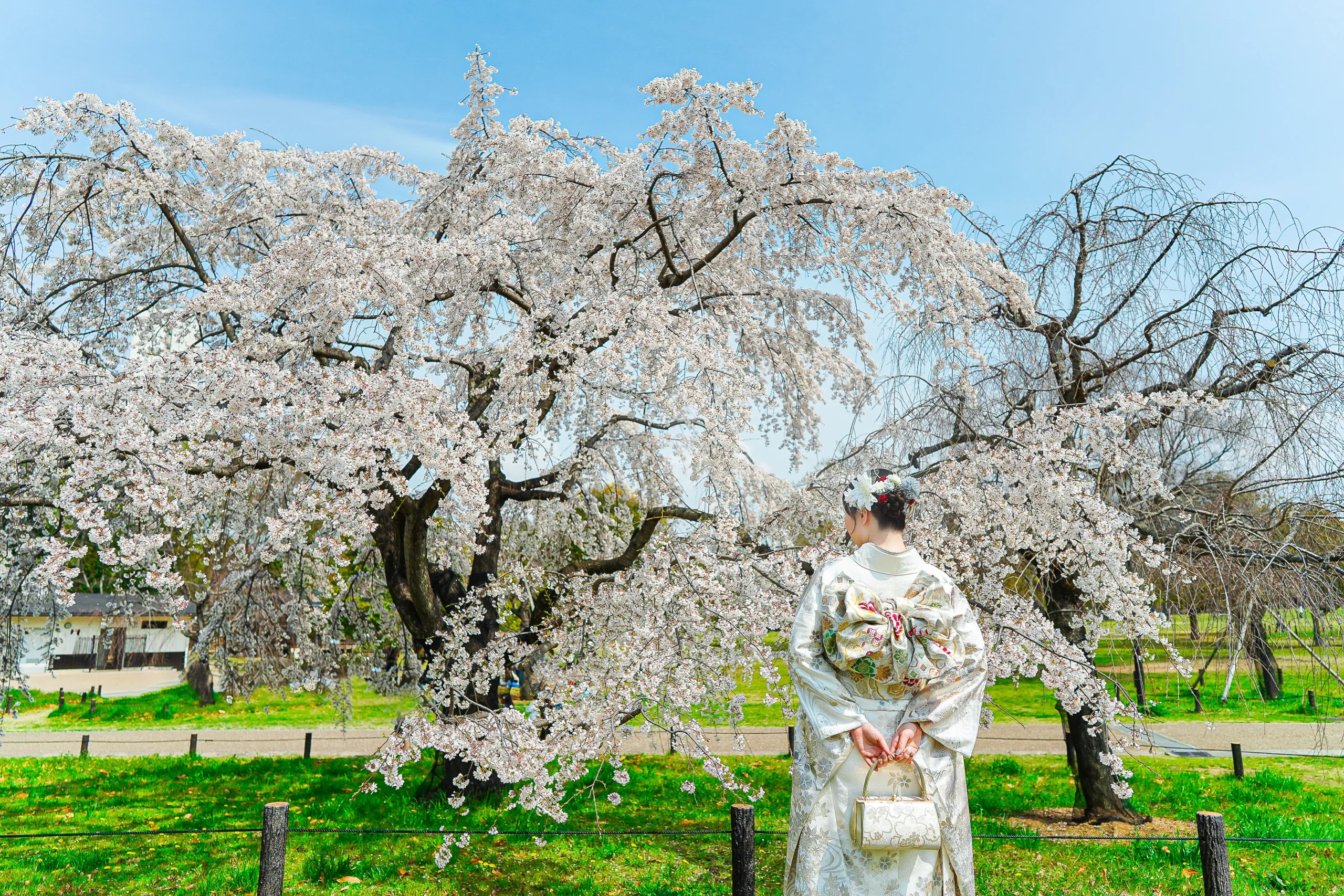 ロケーション撮影と出張撮影に特化した大阪府堺市にあるフォトスタジオ、FYS Photographyの成人式写真撮影