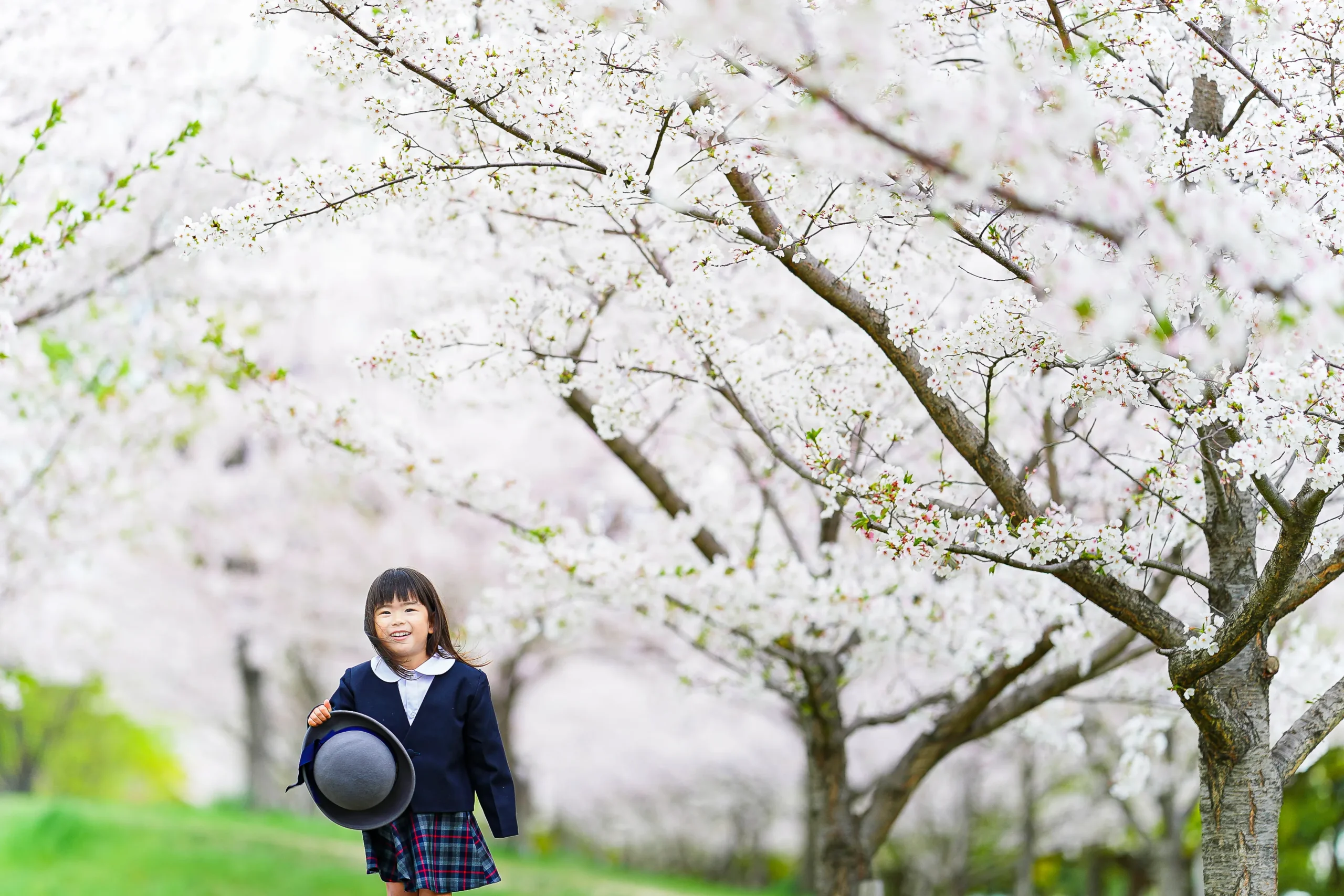 ロケーション撮影と出張撮影に特化した大阪府堺市にあるフォトスタジオ。FYS Photographyで入園の桜ロケーション写真撮影